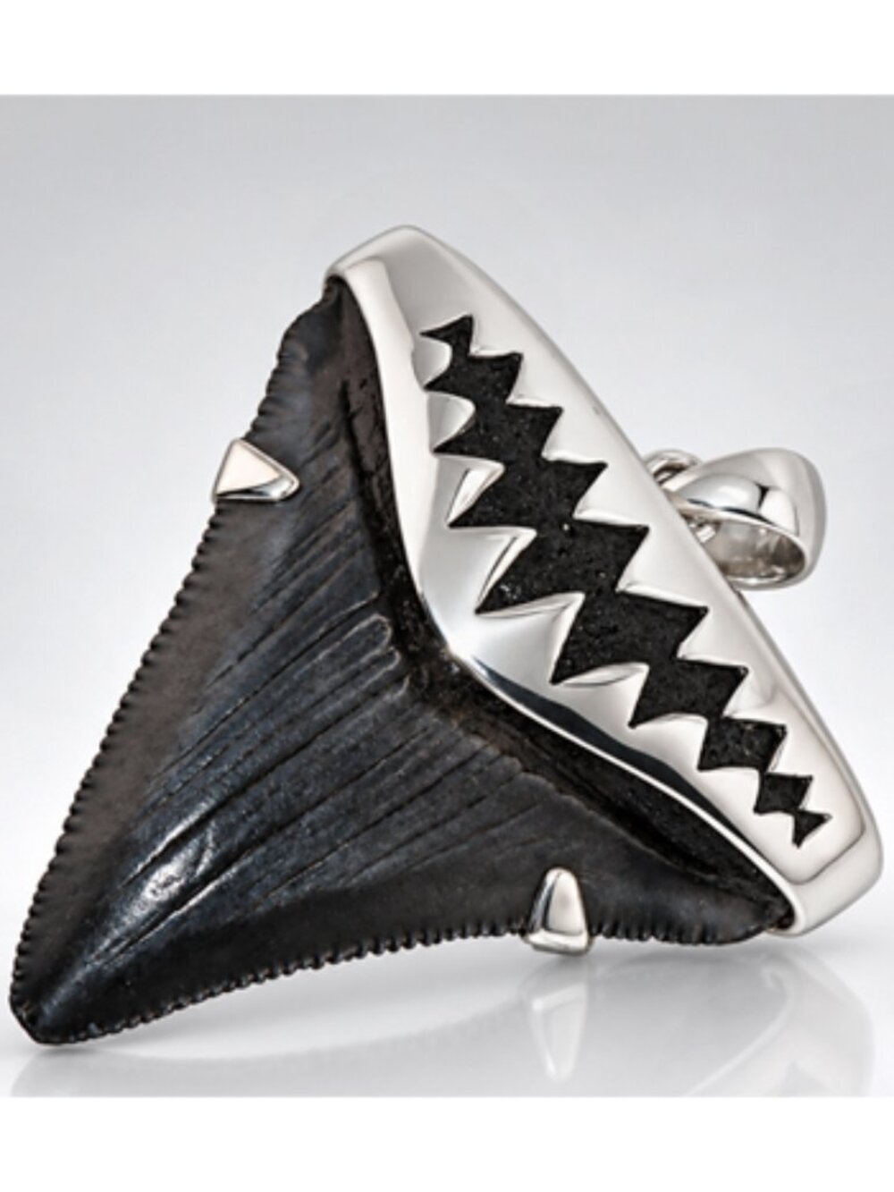 Fossil Megalodon Shark Tooth Pendant – Megalodon Tooth with Sterling Silver Cap